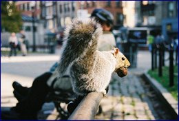 Click to open ������ ����