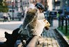 Приехали в Бостон, поселились у Тани. · Я искал работу, а в перерывах между интервью удивлялся количеству белок в парках.
