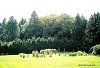 Полянки очень живописные.