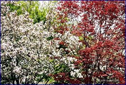 Click to open ����� � �������