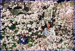 Click to open ����� � ���-�����