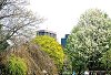 Boston Common - парк в центре Бостона