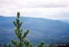 Лишь доминирующая над всеми махина горы Вашингтон (Mount Washington) практически безлесна. · (мы её ещё не ведели, так что здесь её нет)