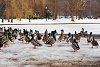 Невозможно рассказывать о столице Новой Англии не упомянув об истории этого города. Причина гордости бостонцев за свой город восходит к революционным временам, когда здесь жили такие великие люди, как Джон Хэнкок, Пол Ревер и Сэм Адамс.