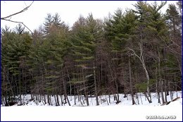 Click to open �����������