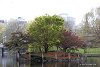 Boston Common Park - очень красивый · парк в центре старого Бостона, относящийся к главным достопримечательностям · Бостона.
