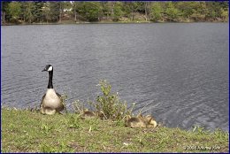 Click to open ������