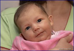 Click to open ����