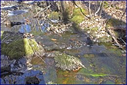 Click to open ��������