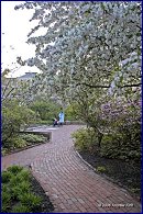 Click to open ���������