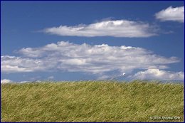 Click to open Plum Island