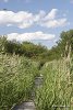 в этот раз мы даже смогли искупаться