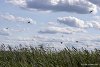 вода была градусов 16-17С