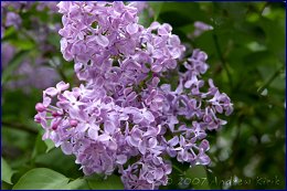 Click to open ������