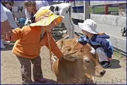 Click to open �� �����