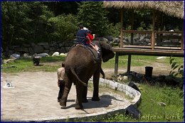 Click to open �������