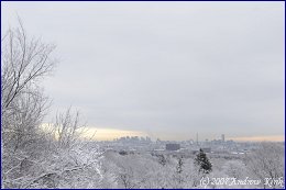 Click to open ����