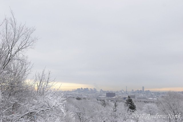 Winter