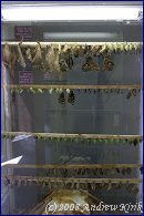 Click to open �������� ���