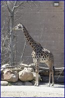 Click to open �������