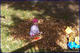 Click to open �����, ������