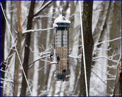 Click to open ������ ���������