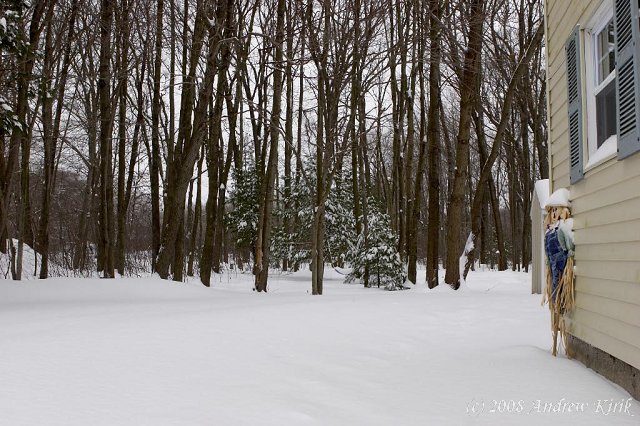 Winter Comes