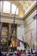 Click to open New York