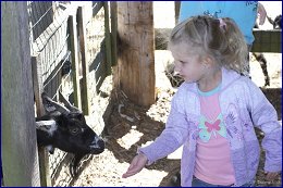 Click to open �� �����