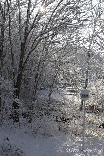 Winter 1