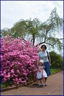 Click to open Tower Hill Botanic Garden