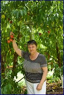 Click to open �����