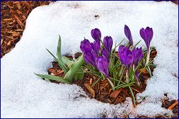 Click to open ����� � ����