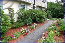 Click to open ������ ����