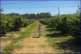 Click to open �� ������