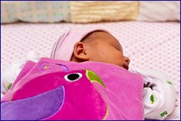 Click to open ����