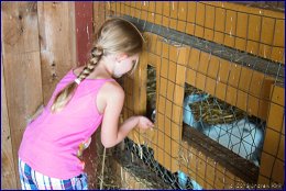 Click to open �� �����