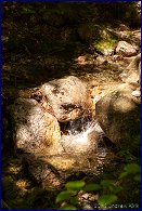 Click to open � �����