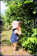 Click to open �� �����