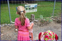 Click to open �������