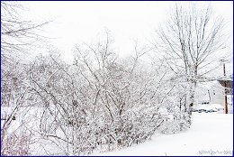 Click to open �� �����