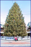 Click to open ������