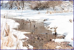 Click to open � ����