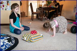 Click to open ����