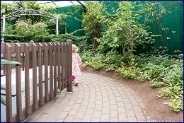 Click to open ��� �������