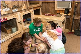 Click to open �� �����