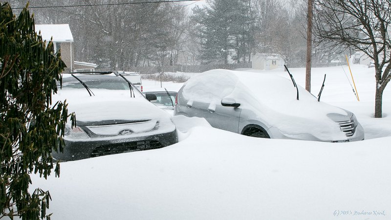 Winter