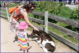 Click to open �� �����