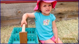 Click to open �� ������