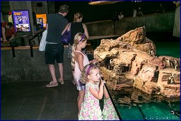 Click to open � ���������